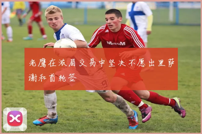 老鹰在浓眉交易中坚决不愿出里萨谢和首轮签