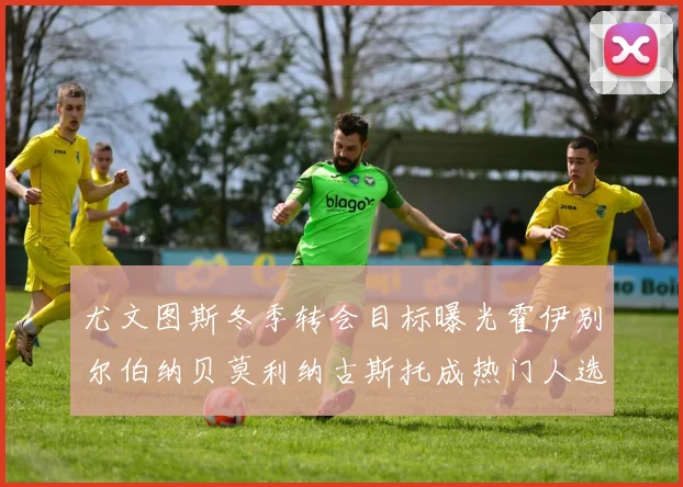 尤文图斯冬季转会目标曝光霍伊别尔伯纳贝莫利纳古斯托成热门人选