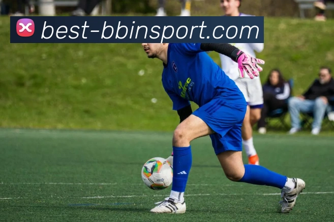 BBIN体育APP 高清赛事图